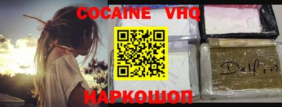 тгк Бийск