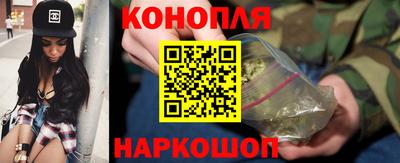 тгк Бийск