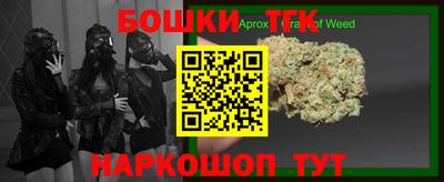 тгк Бийск