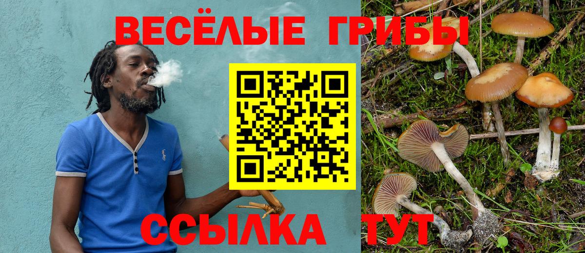 Псилоцибиновые грибы GOLDEN TEACHER Зеленодольск